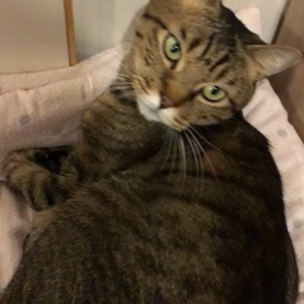 ☆ラス君☆の画像