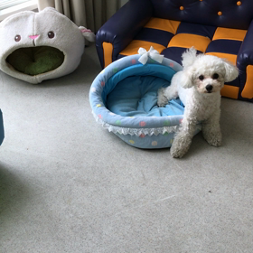 ♪プレイルーム動画♪①の画像