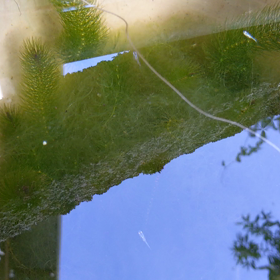 新型コロナウイルス最低限の準備の画像