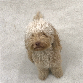 ♪プレイルーム動画♪①の画像