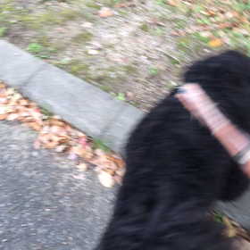 仕事が終わりの画像