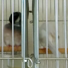 お手入れタイムの画像