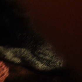 ちょっと元気になったかな？の画像