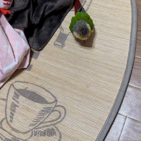 ベッドから落ちたの画像