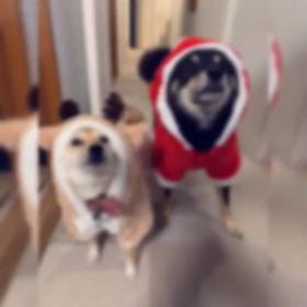 クリスマスの画像