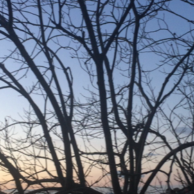 朝型生活記録１３・夜明けの雲の光彩。の画像