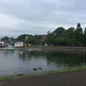 手賀沼公園の画像