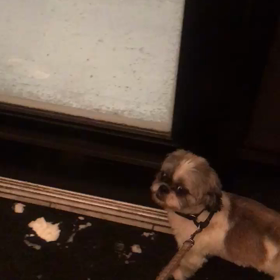 時をかけるバンド　第5話から8話の画像