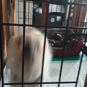 可愛いムーばあちゃんの画像