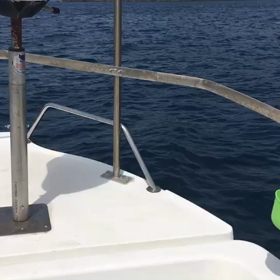 こどもの日プレゼントの画像