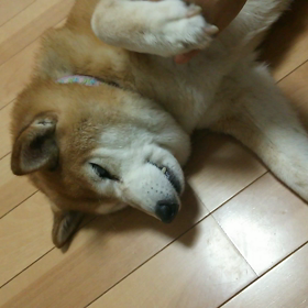 間に合ったー☆の画像