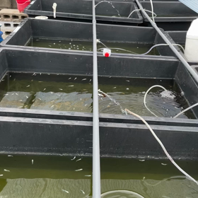 水換えの秘密兵器やでの画像