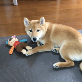 『ばあちゃん』って言った？！の画像