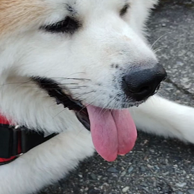 未来丸動かず❗どうしたものか？の画像