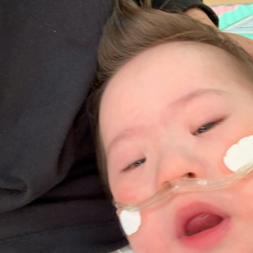 今日のつばちゃんの画像