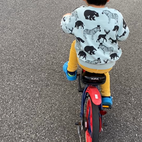 補助なしデビューの画像