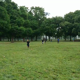 1000ｍ２組目動画 ①の画像