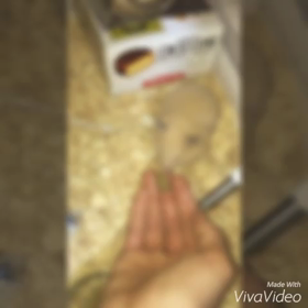 シュネーのコブラの画像