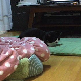 いねむりの画像