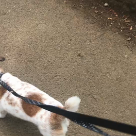 ♪お散歩動画♪代々木公園♪の画像