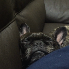 いびきからの顔けいれんの画像