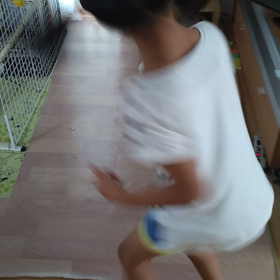 我が家の番犬　U^ｪ^Uの画像