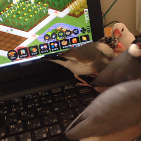 ケンカをやめて〜の画像