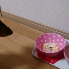 超久しぶりのうまうま(*^^*)の画像