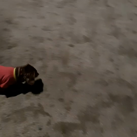 いつかの夜散歩♡の画像