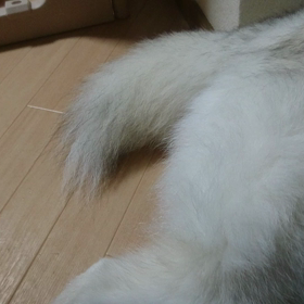 宇宙語ってやつ？の画像