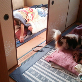 起こしにの画像