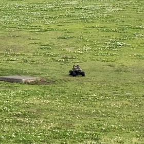 今日のえんそく？お散歩？の画像