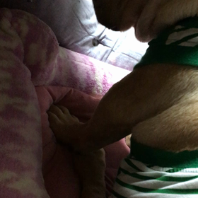 睡魔に  負けた！の画像