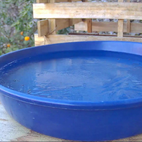 すぎぴたんの事件簿シーズン3　203話（シジュウカラがランウェイ）の画像