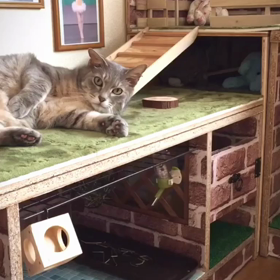 秘密基地٩(ˊᗜˋ*)وの画像