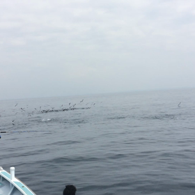 キャスティングルアー船の画像