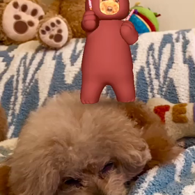 ハイ⭐️ポッキーのやってみたよ❤️の画像