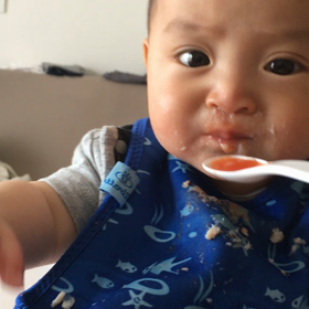 はじめてのトマトの反応はの画像