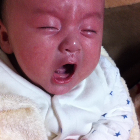 比べてみたの画像