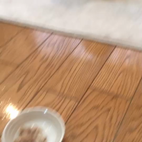 Sさんにレイチェルの画像
