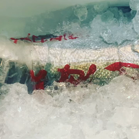 天然ヒラマサの画像