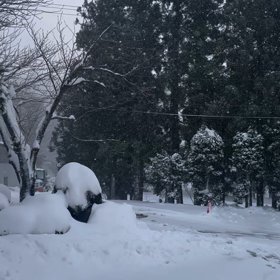 いよいよ・・・！！の画像