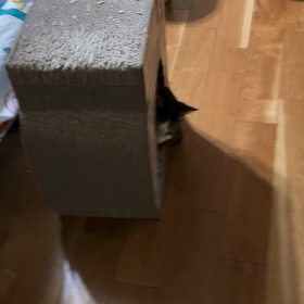 暑くてぐったりの画像