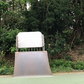 今日の痛みの画像