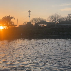 3月31日。今日の釣り場。明日の予定。の画像