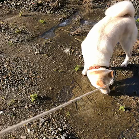 大好きなお医者様への画像