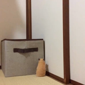 歯っちゃんの、こころざし☆の画像