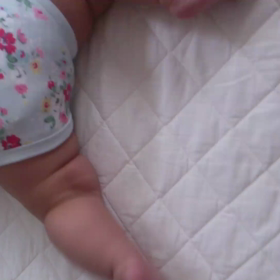 左でトントンの画像