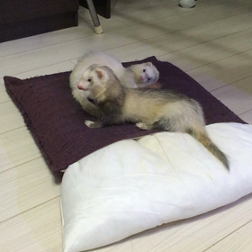 …スローな二人の画像