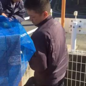 ゴミ置き場のネットを設置してきましたよ（≧∇≦）の画像